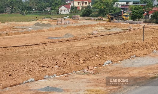 Khu đất này có 48 trên tổng số 52 ô đất đấu giá bị hủy kết quả tại huyện Tam Nông vừa qua. Ảnh: Tô Công.