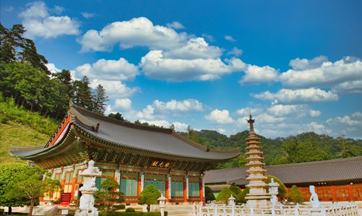 Tỉnh Gangwon (Hàn Quốc) sẵn sàng đón du khách Việt Nam trong thời gian tới. Ảnh: KTO