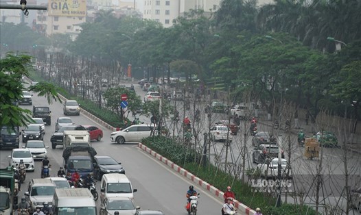 Hàng cây phong lá đỏ khô héo trên đường Trần Duy Hưng được ghi nhận vào tháng 4.2021. Ảnh: LĐO.