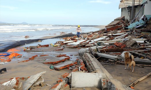 Sạt lở bờ biển Cửa Đại, Quảng Nam sau bão số 6. ẢnhLP