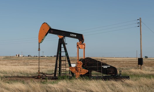 Giá dầu thế giới  giảm trước thông tin thị trường dồi dào nguồn cung do các nước lớn xả kho dự trữ. Ảnh: Reuters.