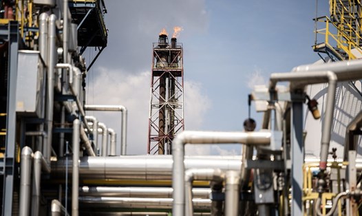 OPEC giảm sản lượng dầu 2 triệu thùng/ngày trong tháng 11. Ảnh: AFP