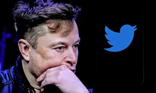 CEO của SpaceX cho biết sẽ không đuổi việc 75% nhân viên Twitter. Ảnh chụp màn hình