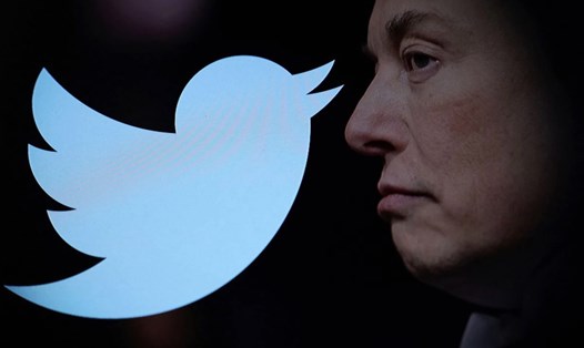Elon Musk bắt đầu thời kỳ cầm quyền ở Twitter bằng việc sa thải các giám đốc mà ông cáo buộc cung cấp sai thông tin cho mình. Ảnh chụp màn hình