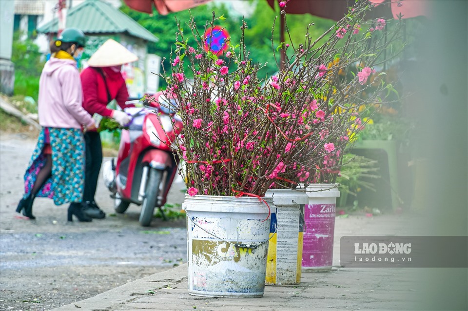 Hai phương án nghỉ Tết Nguyên đán 2023 là 7 ngày và 9 ngày.