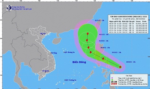 Các tỉnh từ Quảng Ninh đến Bình Thuận không chủ quan trước bão NALGAE