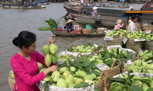 Chợ nổi Cái Răng là một trong những chợ nổi danh tiếng miền Tây, thu hút du khách trải nghiệm khi đến Cần Thơ. Ảnh: Vietnam Tourism