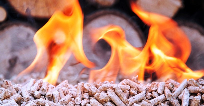 Xuất khẩu viên nén gỗ đang tăng trưởng mạnh mẽ do nhu cầu thế giới tăng. Ảnh: TL