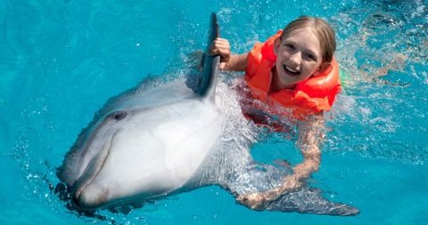 Gặp gỡ và bơi lội cùng những chú cá heo là một trải nghiệm độc đáo mà du khách nên thử một lần trong đời. Ảnh: The Travel