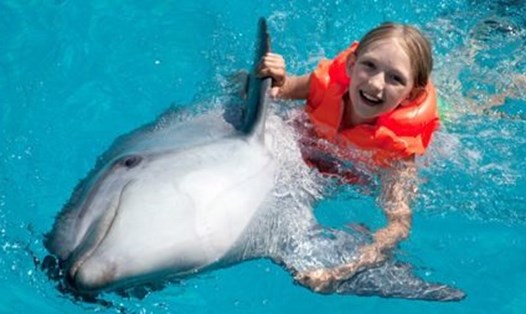 Gặp gỡ và bơi lội cùng những chú cá heo là một trải nghiệm độc đáo mà du khách nên thử một lần trong đời. Ảnh: The Travel