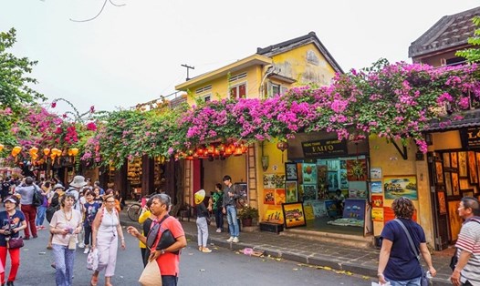 Hội An vẫn ghi nhận booking đều đặn sau bão số 4. Ảnh: Tour du lịch Đà Nẵng