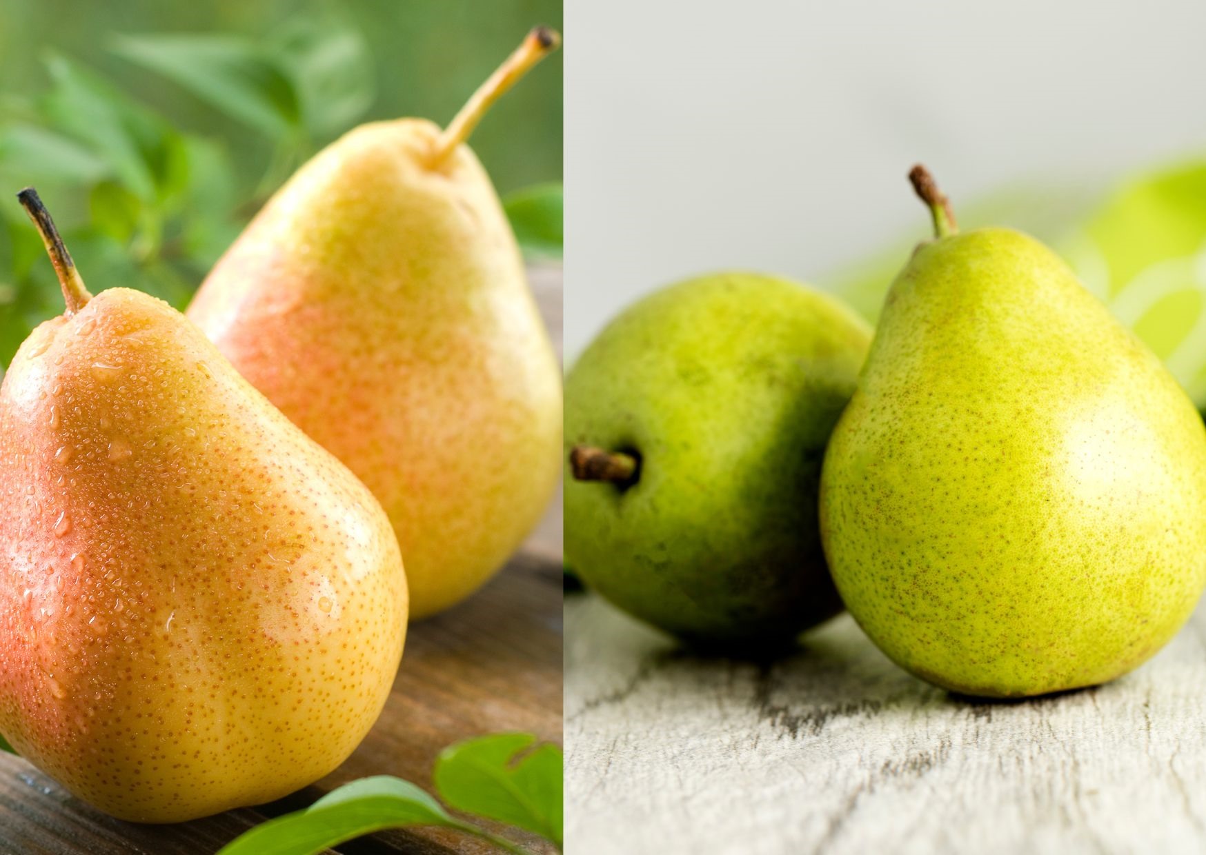 Cách chọn, bảo quản và thưởng thức quả lê