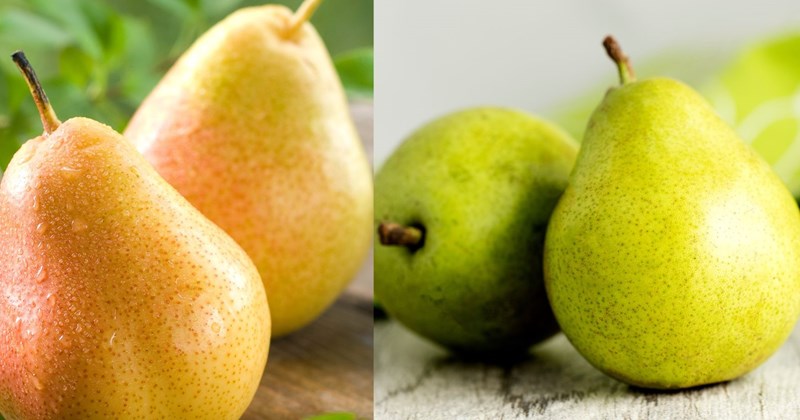 Cách chọn, bảo quản và thưởng thức quả lê
