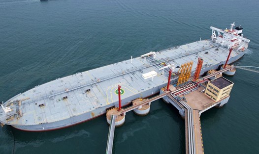 EU dự tính cho phép các công ty thuê hoa tiêu hàng hải cho các tàu chở dầu của Nga. Ảnh: AFP