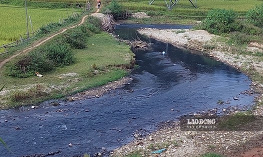 Nước thải ô nhiễm đen kịt và bốc mùi hôi thối từ các cơ sở chế biến dong riềng đổ ra sông Nậm Rốm. Ảnh: Văn Thành Chương