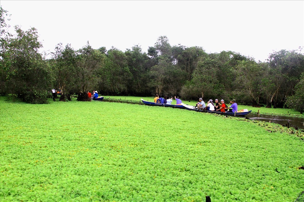 Một góc Rừng tràm Trà Sư. Ảnh: LT