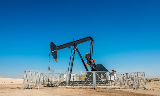 OPEC+ quyết định giảm sản lượng 2 triệu thùng dầu/ngày từ tháng 11. Ảnh: AFP
