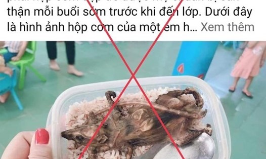 Phạt 7,5 triệu đồng người đăng tin học sinh Quảng Nam ăn cơm thịt chuột. Ảnh chụp màn hình