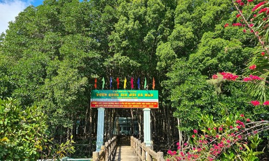 Công an tỉnh Cà Mau bắt Giám đốc Vườn Quốc gia Mũi Cà Mau cùng thuộc cấp vì tham ô. Ảnh: Nhật Hồ