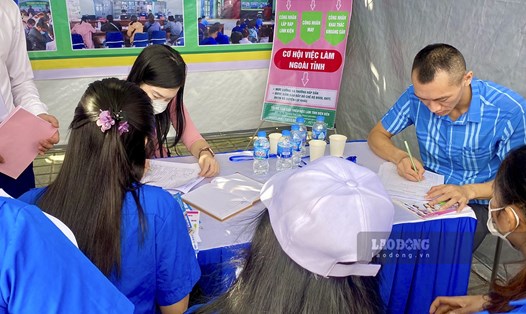 Hội chợ việc làm tỉnh Điện Biên thu hút hàng nghìn người trong độ tuổi lao động tham gia. Ảnh: Thanh Hiền