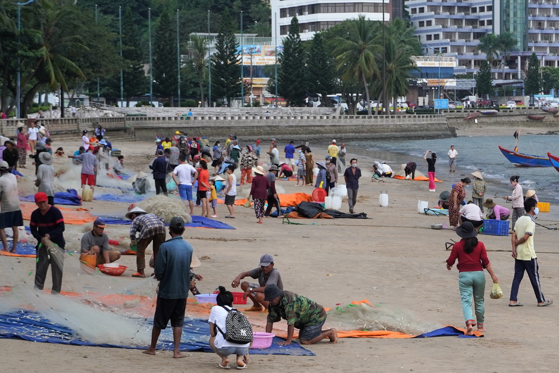 Ngư dân và người dân, du khách nhộn nhịp trên một góc bãi biển mùa thu hoạch cá mai.