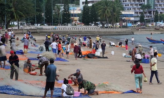 Ngư dân và người dân, du khách nhộn nhịp trên một góc bãi biển mùa thu hoạch cá mai.