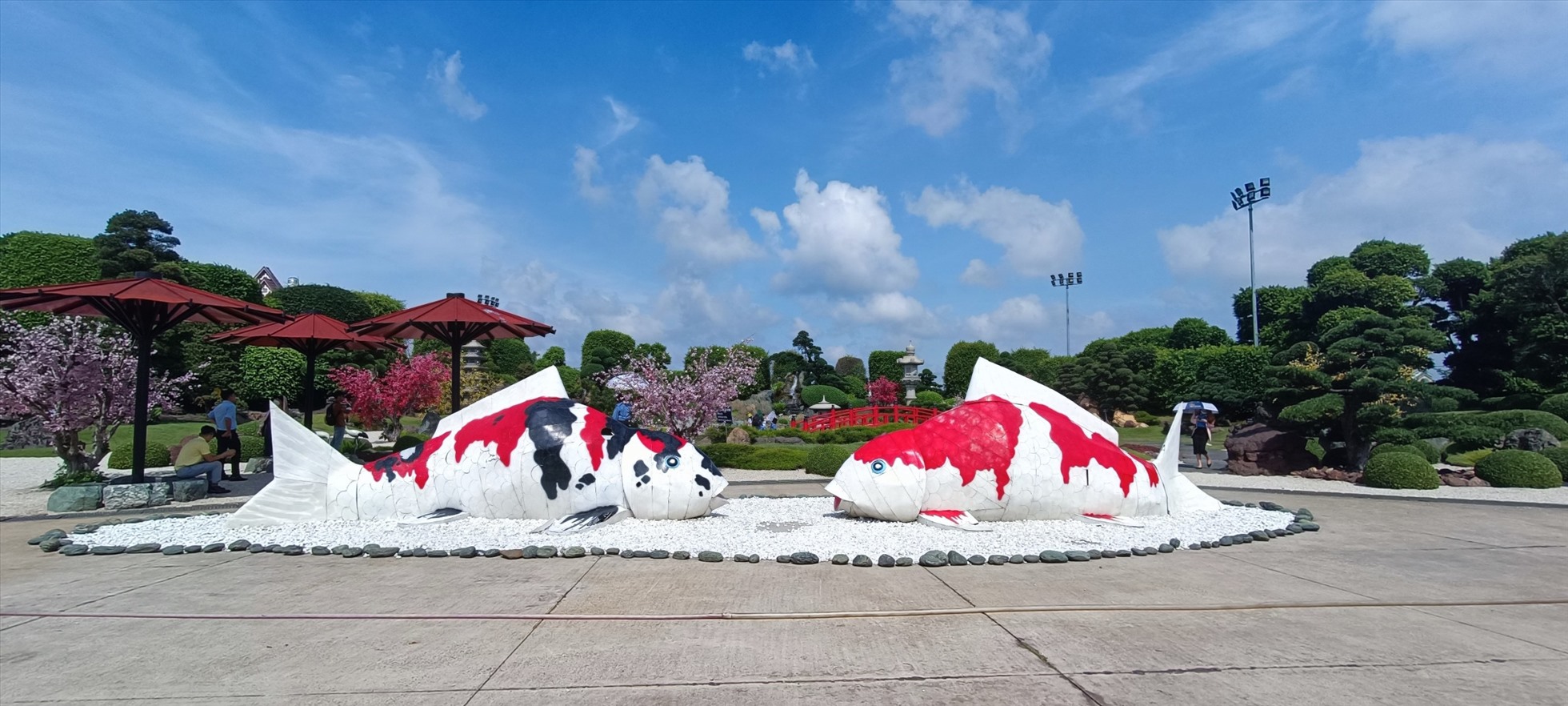 Công viên cá Koi Rin Rin Park - công viên cá Koi có quy mô lớn nhất Việt Nam ở Hóc Môn. Ảnh: BTC