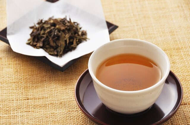 Lợi ích có thể bạn chưa biết từ việc uống trà rang Houjicha