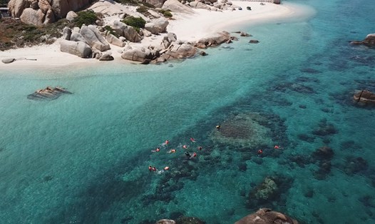 Biển tại Hòn Cau xanh trong, thu hút du khách đến tham quan. Ảnh: DT.