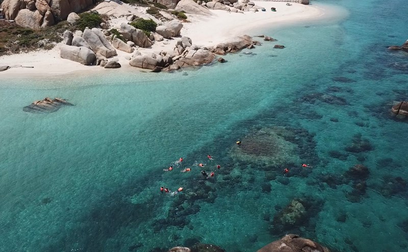 Biển tại Hòn Cau xanh trong, thu hút du khách đến tham quan. Ảnh: DT.