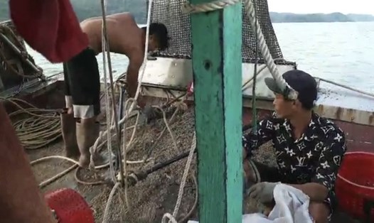 Ngư cụ cấm (lưới cào) để khai thác thủy sản bị lực lượng Biên phòng bắt quả tang. Ảnh: NC