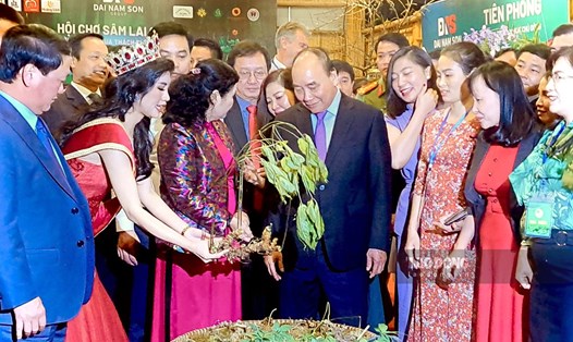 Chủ tịch nước Nguyễn Xuân Phúc tham quan gian hàng trưng bày tại Hội chợ sâm Lai Châu. Ảnh: PV