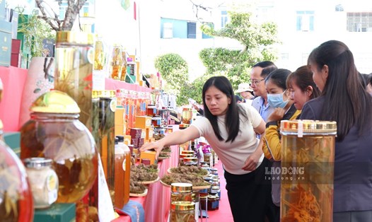 Người dân tham quan các gian trưng bày sâm Lai Châu. Ảnh: PV