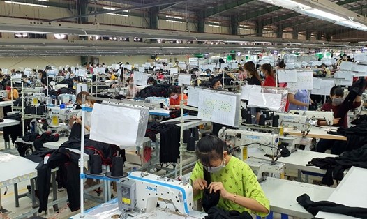 Bạc Liêu có ít doanh nghiệp, toàn tỉnh chưa tới 11.000 công nhân lao động ngoài nhà nước. Ảnh: Nhật Hồ