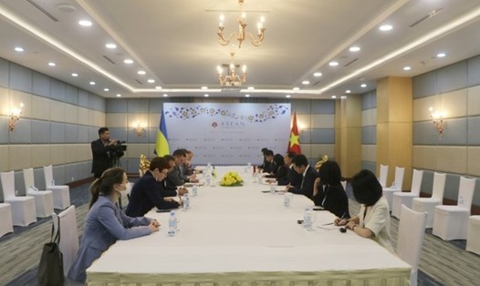 Bộ trưởng Ngoại giao Bùi Thanh Sơn khẳng định Việt Nam luôn coi trọng quan hệ hữu nghị truyền thống, đối tác toàn diện với Ukraina. Ảnh: VGP