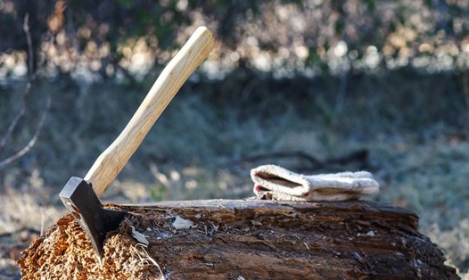 Khoảng 150m3 gỗ tròn trị giá 10.400 euro đã bị đánh cắp khỏi các khu rừng tư nhân của Estonia trong 10 tháng qua. Ảnh: Getty