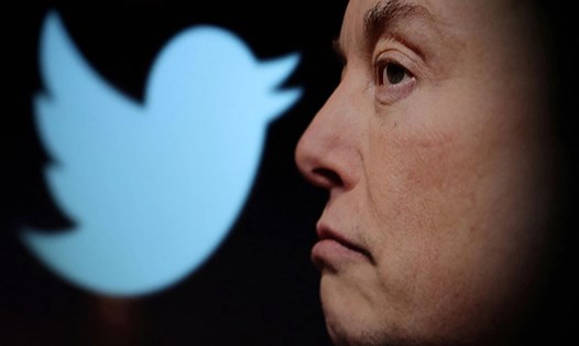 Elon Musk đã loại bỏ hàng ngàn nhân viên hợp đồng của Twitter. Ảnh chụp màn hình