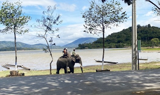 Du lịch cưỡi voi vẫn thịnh hành ở Đắk Lắk. Ảnh: B.T