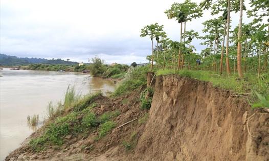Nhiều điểm sạt lở ở bờ sông Krông Nô đã bị cấm khai thác khoáng sản. Ảnh: Phan Tuấn