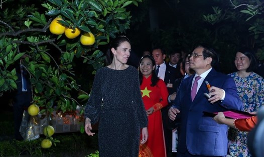 Thủ tướng Phạm Minh Chính và Thủ tướng New Zealand thăm vườn cây trong Khu Di tích Phủ Chủ tịch. Ảnh: VGP