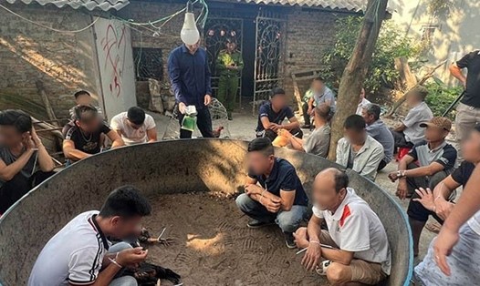 Hiện trường, lực lượng công an phát hiện, triệt phá vụ đá gà ăn tiền ở xã Bình Xuyên, huyện Bình Giang. Ảnh: Cơ quan chức năng cung cấp.