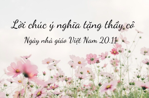 Ngày Nhà giáo Việt Nam: Hôm nay là Ngày Nhà giáo Việt Nam! Chúc mừng những người thầy giáo, cô giáo đã dành cả đời để giáo dục cho các thế hệ trẻ. Hãy xem ảnh liên quan đến ngày này để cảm nhận thêm giá trị của nghề giáo.
