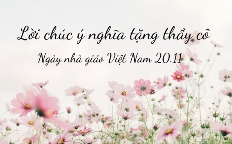 Nhà giáo Việt Nam: Hãy cùng tôn vinh những người anh hùng giáo dục Việt Nam bằng những hình ảnh đầy cảm xúc. Xem những hình ảnh này, bạn sẽ cảm thấy được sự tôn trọng và biết ơn sâu sắc đối với những người đã dành cả đời mình để giáo dục cho các thế hệ trẻ.