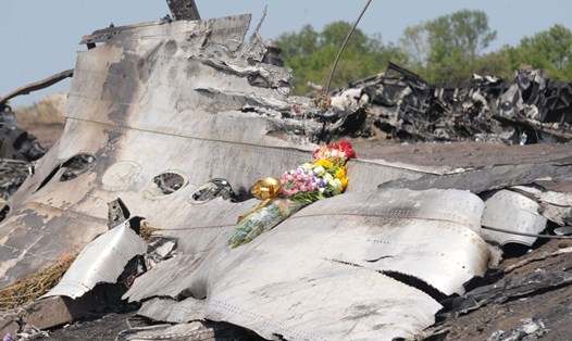 Mảnh vỡ của MH17 tại hiện trường vụ rơi máy bay. Ảnh: AFP