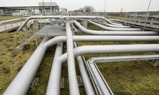 Đường ống dẫn dầu Druzhba. Ảnh: AFP