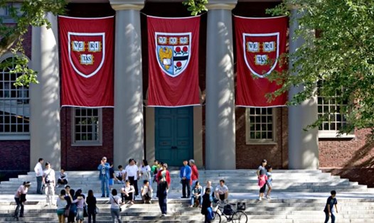 Đại học Harvard, Mỹ. Ảnh: AFP