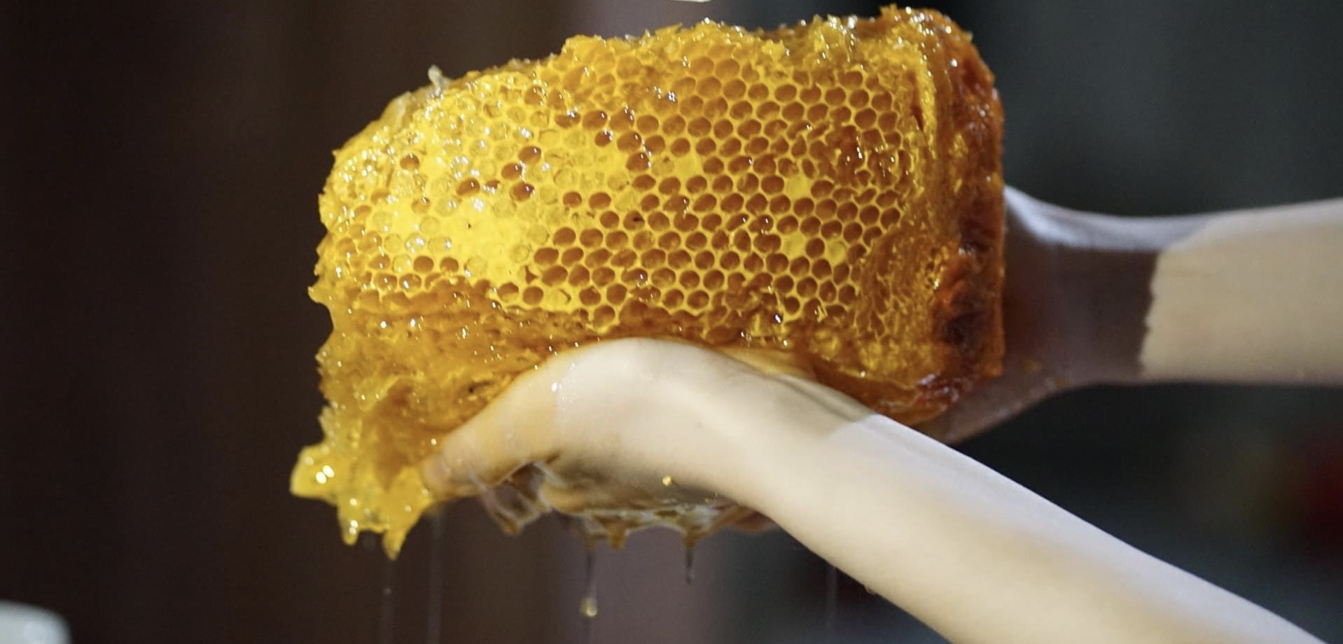 Mỗi lít mật ong khoái được bán với giá từ 500.000 - 600.000 đồng.