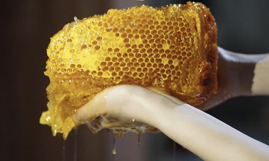 Mỗi lít mật ong khoái được bán với giá từ 500.000 - 600.000 đồng.