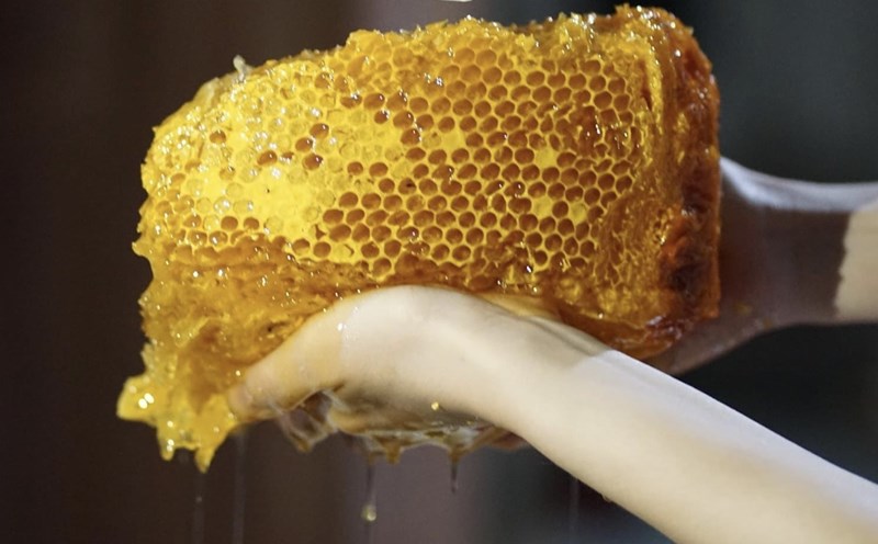 Mỗi lít mật ong khoái được bán với giá từ 500.000 - 600.000 đồng.