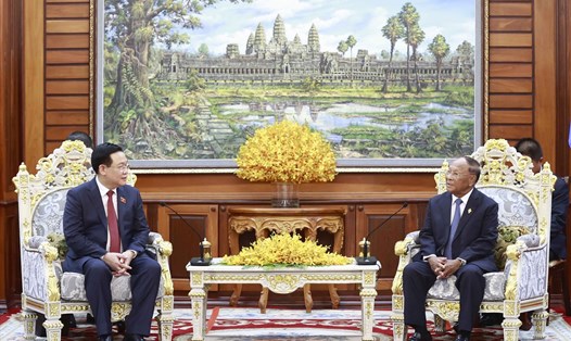 Chủ tịch Quốc hội Campuchia Samdech Heng Samrin tiếp thân mật Chủ tịch Quốc hội Vương Đình Huệ trước khi tiến hành hội đàm. Ảnh: TTXVN